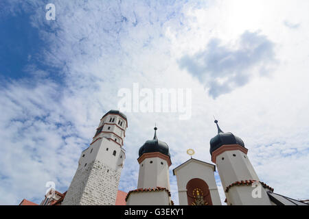 Castello, in Germania, in Baviera, Baviera, Schwaben, Svevia, Dillingen an der Donau Foto Stock