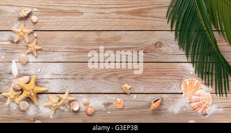 Cornice di conchiglie . Foto Stock