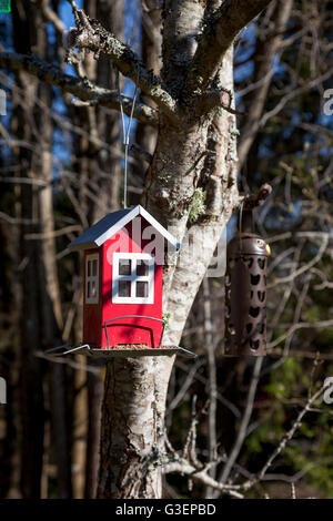 Di piccole dimensioni in stile svedese birdhouse appeso a un albero Foto Stock