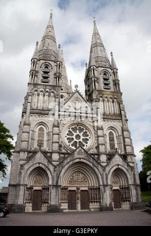 La parte anteriore di St Fin Barre's Cathedral, Cork, Irlanda Foto Stock