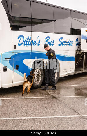 Maryland Transportation Authority cane di polizia, Cruise Terminal, porto di Baltimora, Locust Point, Baltimore, MD Foto Stock