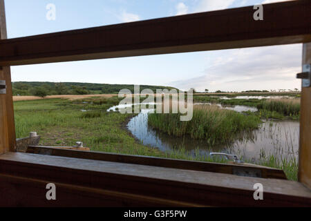 Osservazione nasconde in Leighton Moss RSPB riserva, Lancashire, Inghilterra, Regno Unito Foto Stock