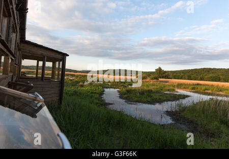 Osservazione nasconde in Leighton Moss RSPB riserva, Lancashire, Inghilterra, Regno Unito Foto Stock