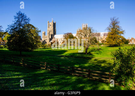 Cattedrale di Ely, Cambridgeshire, England, Regno Unito Foto Stock