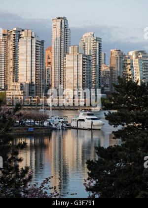 Lo skyline di Vancouver cityscape False Creek vista scena tramonto colori vetro riflettente alto condominio condominio le torri degli edifici Foto Stock