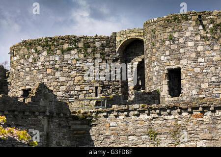 Beaumaris Castle Isola di Anglesey Regno Unito Foto Stock