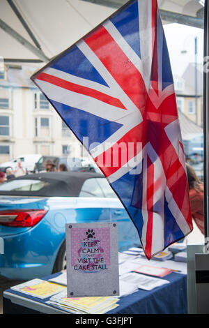 Aberystwyth, Wales, Regno Unito. 11 Giugno, 2016. Aberystwyth celebra la Queen's novantesimo compleanno oggi nella recentemente ricostruito seaside bandstand Aberystwyth ha l'unica distinzione off essendo il luogo, quasi esattamente 20 anni fa per il giorno e per la sola e unica volta nel suo regno, dove la regina è stato costretto ad abbandonare una visita ufficiale durante il suo entourage è stato il bersaglio di proteste da parte di un gruppo di 200 welsh-lingua agli studenti attivisti durante un tour di Aberystwyth University © keith morris/Alamy Live News Credito: keith morris/Alamy Live News Foto Stock