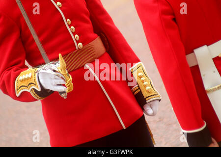 Londra, Regno Unito. 11 Giugno, 2016. Guardsman Credito: Chris Carnell/Alamy Live News Foto Stock