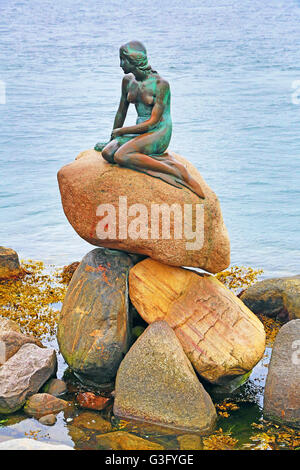 La statua della Sirenetta a Copenaghen, Danimarca Foto Stock