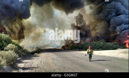 Wildfire vigili del fuoco cammina lungo una strada con le fiamme e il fumo che sale da entrambi i lati durante il 38e Giugno 10, 2016 vicino a Tacna, Arizona. Foto Stock