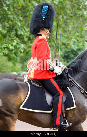 La Queens Life Guard, elettrodomestico Cavalleria Londra Foto Stock