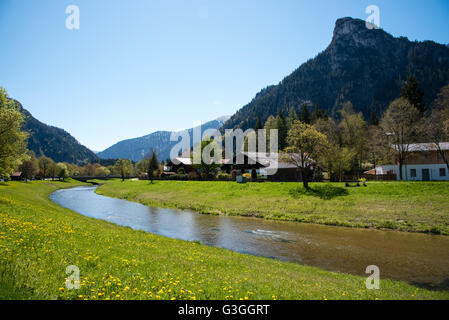 Vista panoramica del bellissimo paesaggio delle Alpi con freschi prati verdi e fiori che sbocciano e innevate vette di montagna in Foto Stock