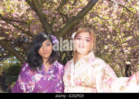 New York, Stati Uniti. 30 apr, 2016. Frequentando festival in kimono. Sakura Matsuri o l annuale cherry blossom festival celebra "hanami' o il tradizionale fine del fiore giapponese la visualizzazione di stagione, con una sagra, Arte e intrattenimento a Brooklyn Giardino Botanico. © Andy Katz/Pacific Press/Alamy Live News Foto Stock