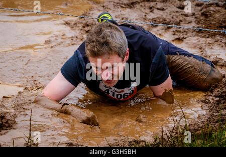 Il castello di Drumlanrig, Scozia, 25 giugno 2016. I partecipanti negoziare la "Kiss di fango' durante il 2016 dura sfida Mudder nel parco del castello di Drumlanrig, Dumfries and Galloway, Scozia. Credito: Andrew Wilson/Alamy Live News Foto Stock