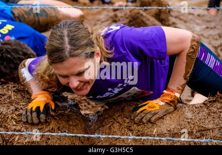 Il castello di Drumlanrig, Scozia, 25 giugno 2016. I partecipanti negoziare la "Kiss di fango' durante il 2016 dura sfida Mudder nel parco del castello di Drumlanrig, Dumfries and Galloway, Scozia. Credito: Andrew Wilson/Alamy Live News Foto Stock