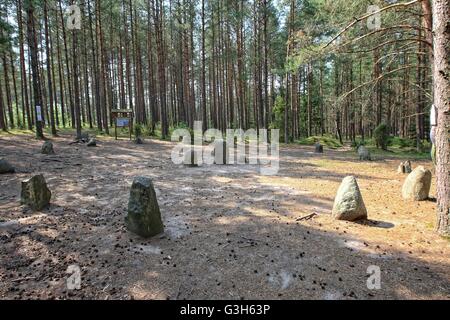 Wesiory, Polonia 25th, giugno 2016 molto caldo e soleggiato in Polonia. La temperatura raggiunge 35 gradi centigradi. La gente visita il Wesiory megalitico di circoli di pietra per nascondere all'ombra degli alberi. Wesiory megalitico di cerchi di pietre e luoghi di sepoltura sono nascondere nel profondo della foresta. Questo posto è stato creato dai Goti probabilmente nel 1° al 3 secolo. Ci sono tre cerchi di pietre e parte della quarta e 20 carriole. Il diametro del cerchio più grande è di 26 metri ed è prevista con le pietre con una altezza di circa 1,5 m. In mezzo vi è qualche stele di pietra Credito: Michal Fludra/Alamy Live News Foto Stock