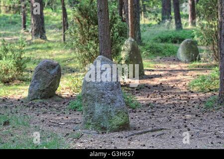 Wesiory, Polonia 25th, giugno 2016 molto caldo e soleggiato in Polonia. La temperatura raggiunge 35 gradi centigradi. La gente visita il Wesiory megalitico di circoli di pietra per nascondere all'ombra degli alberi. Wesiory megalitico di cerchi di pietre e luoghi di sepoltura sono nascondere nel profondo della foresta. Questo posto è stato creato dai Goti probabilmente nel 1° al 3 secolo. Ci sono tre cerchi di pietre e parte della quarta e 20 carriole. Il diametro del cerchio più grande è di 26 metri ed è prevista con le pietre con una altezza di circa 1,5 m. In mezzo vi è qualche stele di pietra Credito: Michal Fludra/Alamy Live News Foto Stock