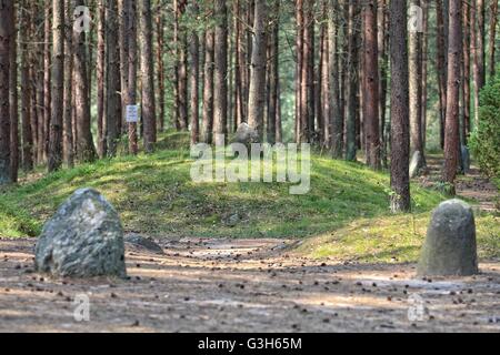 Wesiory, Polonia 25th, giugno 2016 molto caldo e soleggiato in Polonia. La temperatura raggiunge 35 gradi centigradi. La gente visita il Wesiory megalitico di circoli di pietra per nascondere all'ombra degli alberi. Wesiory megalitico di cerchi di pietre e luoghi di sepoltura sono nascondere nel profondo della foresta. Questo posto è stato creato dai Goti probabilmente nel 1° al 3 secolo. Ci sono tre cerchi di pietre e parte della quarta e 20 carriole. Il diametro del cerchio più grande è di 26 metri ed è prevista con le pietre con una altezza di circa 1,5 m. In mezzo vi è qualche stele di pietra Credito: Michal Fludra/Alamy Live News Foto Stock