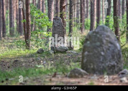 Wesiory, Polonia 25th, giugno 2016 molto caldo e soleggiato in Polonia. La temperatura raggiunge 35 gradi centigradi. La gente visita il Wesiory megalitico di circoli di pietra per nascondere all'ombra degli alberi. Wesiory megalitico di cerchi di pietre e luoghi di sepoltura sono nascondere nel profondo della foresta. Questo posto è stato creato dai Goti probabilmente nel 1° al 3 secolo. Ci sono tre cerchi di pietre e parte della quarta e 20 carriole. Il diametro del cerchio più grande è di 26 metri ed è prevista con le pietre con una altezza di circa 1,5 m. In mezzo vi è qualche stele di pietra Credito: Michal Fludra/Alamy Live News Foto Stock