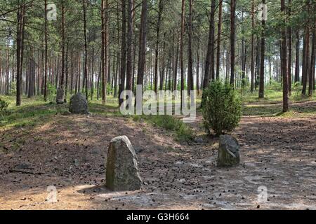 Wesiory, Polonia 25th, giugno 2016 molto caldo e soleggiato in Polonia. La temperatura raggiunge 35 gradi centigradi. La gente visita il Wesiory megalitico di circoli di pietra per nascondere all'ombra degli alberi. Wesiory megalitico di cerchi di pietre e luoghi di sepoltura sono nascondere nel profondo della foresta. Questo posto è stato creato dai Goti probabilmente nel 1° al 3 secolo. Ci sono tre cerchi di pietre e parte della quarta e 20 carriole. Il diametro del cerchio più grande è di 26 metri ed è prevista con le pietre con una altezza di circa 1,5 m. In mezzo vi è qualche stele di pietra Credito: Michal Fludra/Alamy Live News Foto Stock