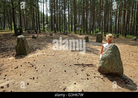 Wesiory, Polonia 25th, giugno 2016 molto caldo e soleggiato in Polonia. La temperatura raggiunge 35 gradi centigradi. La gente visita il Wesiory megalitico di circoli di pietra per nascondere all'ombra degli alberi. Wesiory megalitico di cerchi di pietre e luoghi di sepoltura sono nascondere nel profondo della foresta. Questo posto è stato creato dai Goti probabilmente nel 1° al 3 secolo. Ci sono tre cerchi di pietre e parte della quarta e 20 carriole. Il diametro del cerchio più grande è di 26 metri ed è prevista con le pietre con una altezza di circa 1,5 m. In mezzo vi è qualche stele di pietra Credito: Michal Fludra/Alamy Live News Foto Stock