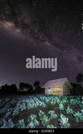 La via lattea sopra Pino colline, Monte Bromo, Java Orientale, Indonesia. Foto Stock