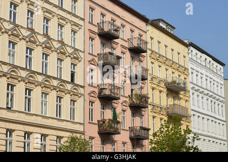 Altbau, Oderberger Strasse, Prenzlauer Berg di Berlino, Deutschland Foto Stock