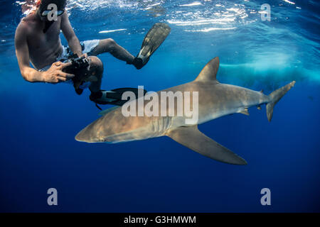 Snorkeler fotografando un squalo seta (Carcharhinus falciformis), Roca Partida, Colima, Messico Foto Stock