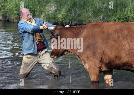 Un uomo e la sua mucca (Titolo originale: La vache - La mucca) è un 2016 commedia francese film diretto da Mohamed Hamidi. Questa fotografia è per il solo uso editoriale ed è il copyright del film company e/o il fotografo assegnato dal film o società di produzione e può essere riprodotto solo da pubblicazioni in congiunzione con la promozione del film di cui sopra. Un credito per il film company è richiesto. Il fotografo deve anche essere accreditato quando noto. Foto Stock