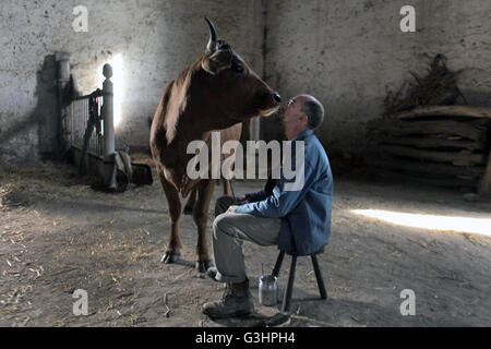 Un uomo e la sua mucca (Titolo originale: La vache - La mucca) è un 2016 commedia francese film diretto da Mohamed Hamidi. Questa fotografia è per il solo uso editoriale ed è il copyright del film company e/o il fotografo assegnato dal film o società di produzione e può essere riprodotto solo da pubblicazioni in congiunzione con la promozione del film di cui sopra. Un credito per il film company è richiesto. Il fotografo deve anche essere accreditato quando noto. Foto Stock