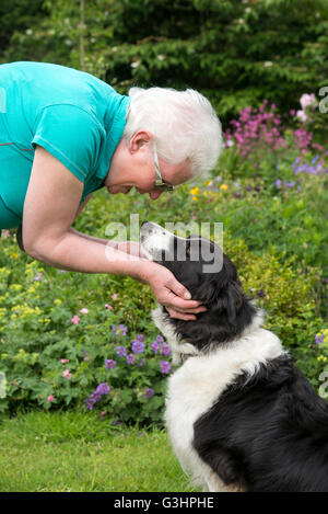 Donna matura si piega verso il basso per mostrare affetto per il suo bellissimo Border Collie cane. Foto Stock