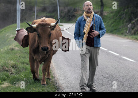 Un uomo e la sua mucca (Titolo originale: La vache - La mucca) è un 2016 commedia francese film diretto da Mohamed Hamidi. Questa fotografia è per il solo uso editoriale ed è il copyright del film company e/o il fotografo assegnato dal film o società di produzione e può essere riprodotto solo da pubblicazioni in congiunzione con la promozione del film di cui sopra. Un credito per il film company è richiesto. Il fotografo deve anche essere accreditato quando noto. Foto Stock