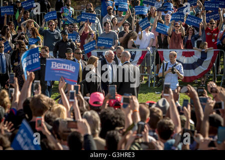 Brooklyn, Stati Uniti. Xvii Apr, 2016. Più di 28.000 persone inondati di Brooklyn Prospect Park per il candidato presidenziale Bernie Sanders. La campagna ha chiamato il suo più grande rally ancora. Gli ospiti inclusi le indie band Orso grizzly, Danny Devito, Justin Long e sost. Tulsi Gabbard, D-Hawaii, e Brooklyn Consigliere Jumaane Williams, un occupare Wall Street attivista che giri fino alla folla con un 'mic controllare' © Michael Nigro/Pacific Press/Alamy Live News Foto Stock