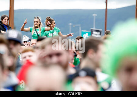 Irlanda del Nord tifosi mentre si guarda la UEFA Euro 2016, gruppo C match tra Irlanda del Nord e Polonia al Titanic Museum di Belfast. Foto Stock