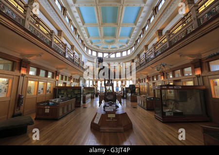 La vista interna Redpath Museum di McGill University. Montreal, Quebec, Canada Foto Stock