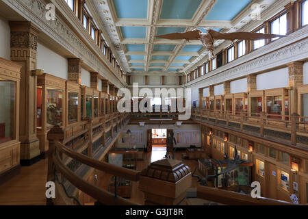 La sala espositiva del museo Redpath in McGill University. Montreal. Quebec. Canada Foto Stock