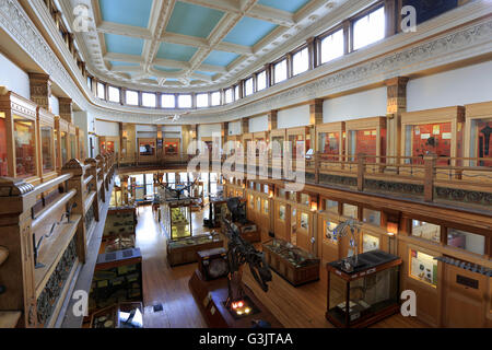 La sala espositiva del museo Redpath in McGill University. Montreal. Quebec. Canada Foto Stock