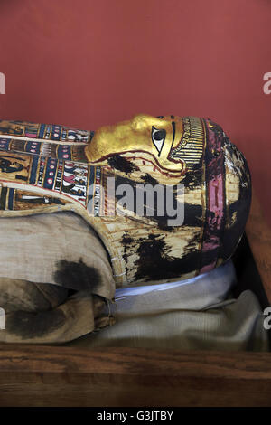 Theban egiziano mummia visualizzati nell'Redpath Museum di McGill University, Montreal, Quebec, Canada Foto Stock
