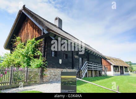 Aria aperta village museum Krumbach - Bucklige Welt, Austria, Niederösterreich, Bassa Austria, Wiener Alpen, Krumbach Foto Stock