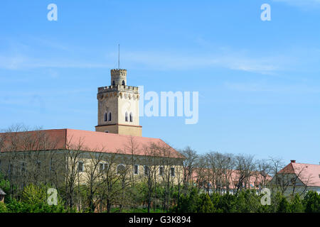 Il castello di Dürnkrut, Austria, Niederösterreich, Bassa Austria, Weinviertel, Dürnkrut Foto Stock