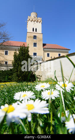 Il castello di Dürnkrut, Austria, Niederösterreich, Bassa Austria, Weinviertel, Dürnkrut Foto Stock