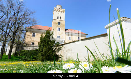 Il castello di Dürnkrut, Austria, Niederösterreich, Bassa Austria, Weinviertel, Dürnkrut Foto Stock