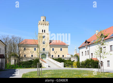 Il castello di Dürnkrut, Austria, Niederösterreich, Bassa Austria, Weinviertel, Dürnkrut Foto Stock