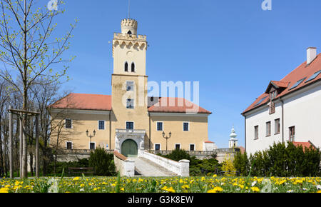 Il castello di Dürnkrut, Austria, Niederösterreich, Bassa Austria, Weinviertel, Dürnkrut Foto Stock