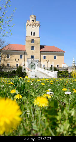 Il castello di Dürnkrut, Austria, Niederösterreich, Bassa Austria, Weinviertel, Dürnkrut Foto Stock