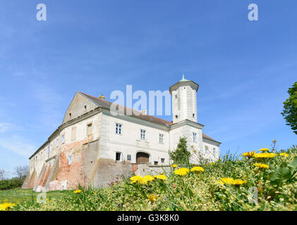 Il castello di Jedenspeigen, Austria, Niederösterreich, Bassa Austria, Weinviertel, Jedenspeigen Foto Stock