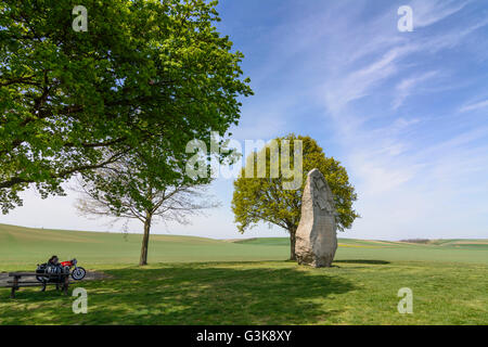 Un monumento per la battaglia sul marchfeld il 26 agosto 1278, l'Austria, Niederösterreich, Bassa Austria, Weinviertel, Jedenspeigen Foto Stock