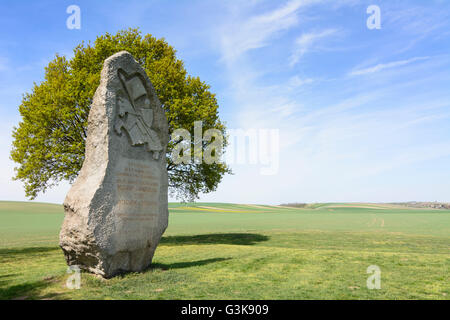 Un monumento per la battaglia sul marchfeld il 26 agosto 1278, l'Austria, Niederösterreich, Bassa Austria, Weinviertel, Jedenspeigen Foto Stock