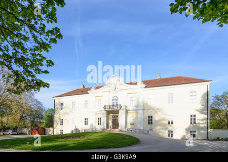 Il castello di Wilfersdorf, Austria, Niederösterreich, Bassa Austria, Weinviertel, Wilfersdorf Foto Stock