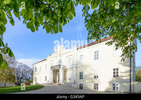 Il castello di Wilfersdorf, Austria, Niederösterreich, Bassa Austria, Weinviertel, Wilfersdorf Foto Stock